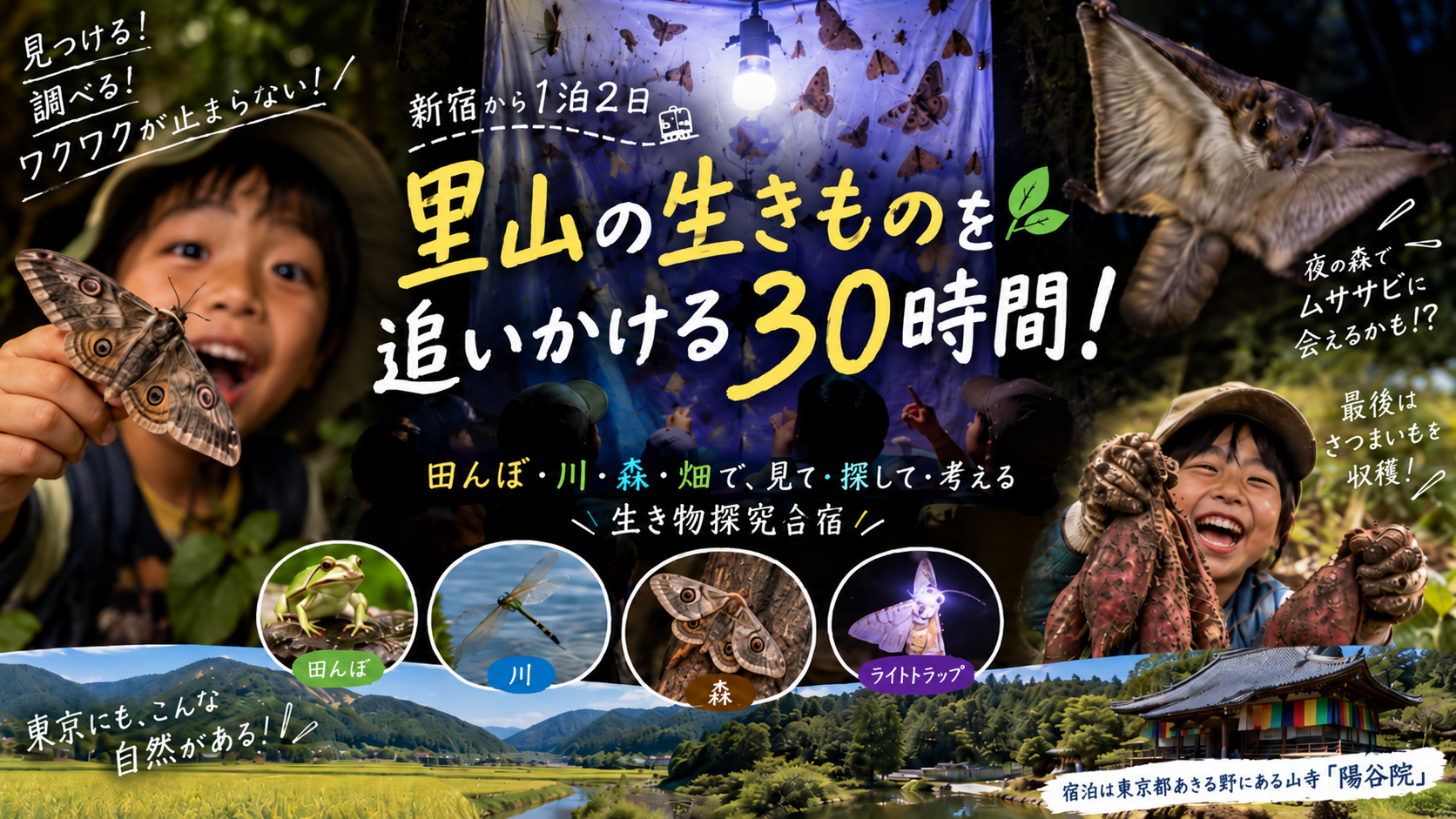 【新宿発1泊2日あきる野市】里山の生きものを追いかける30時間！ライトトラップ＆ムササビ＆カブトムシの幼虫にミクロの世界まで！生き物探究合宿