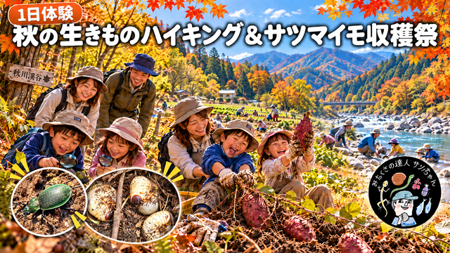 【1日体験・秋川渓谷】サツマイモ掘り🍠&冬越しの虫さがしハイキング(元環境省レンジャーと親子体験)
