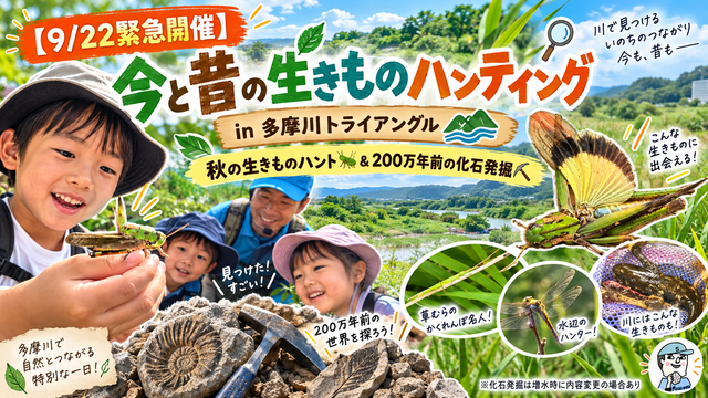 【9/22緊急開催】
今と昔の生きものハンティング in 多摩川トライアングル
秋の生きものハント🦗＆200万年前の化石発掘⛏️
