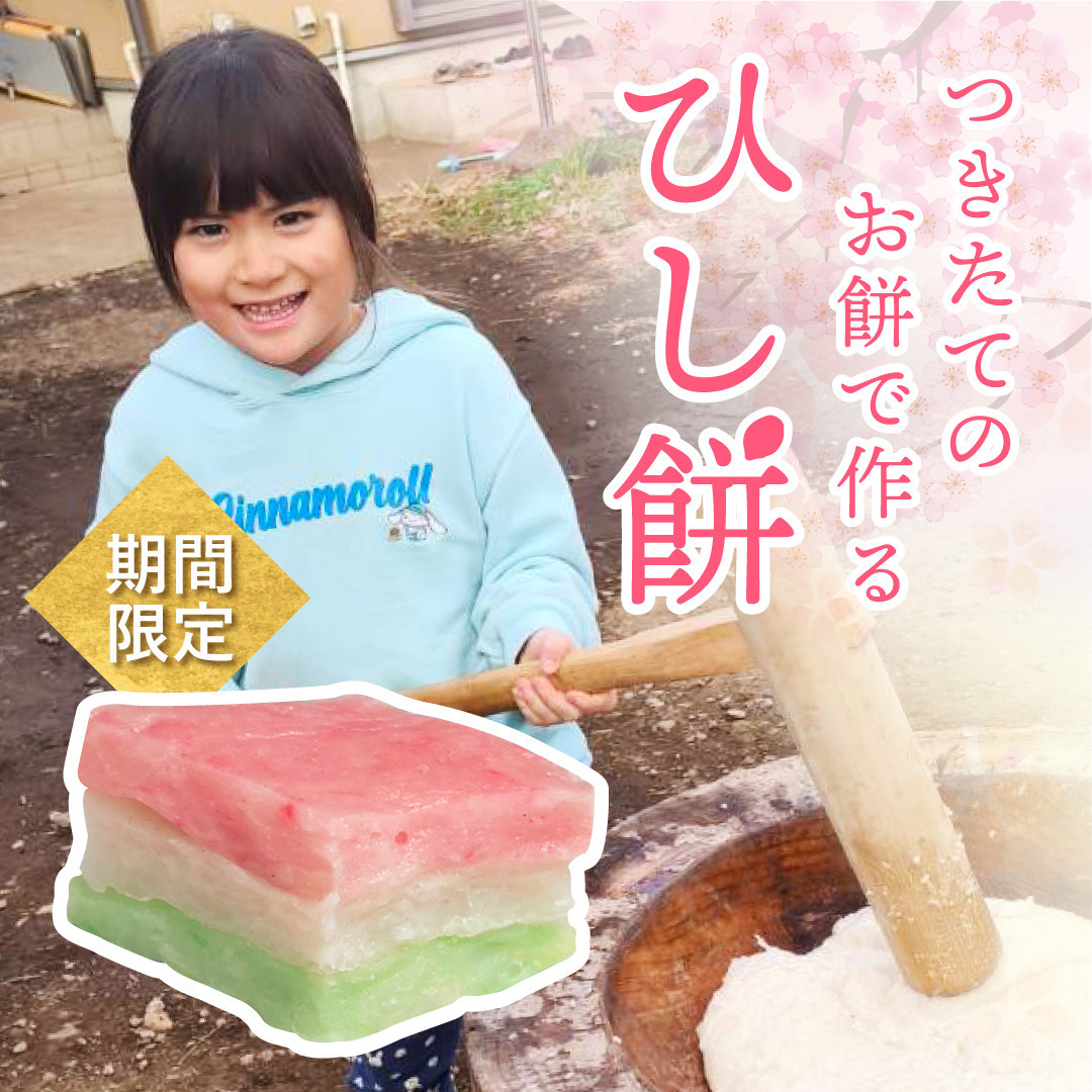 山内美香のプロフィール | aini（アイニ）
