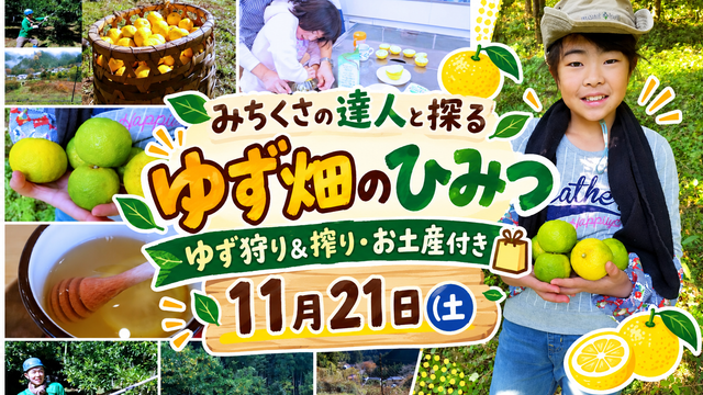 みちくさの達人と探る ゆず畑のひみつ｜ゆず狩り＆搾り・お土産付き