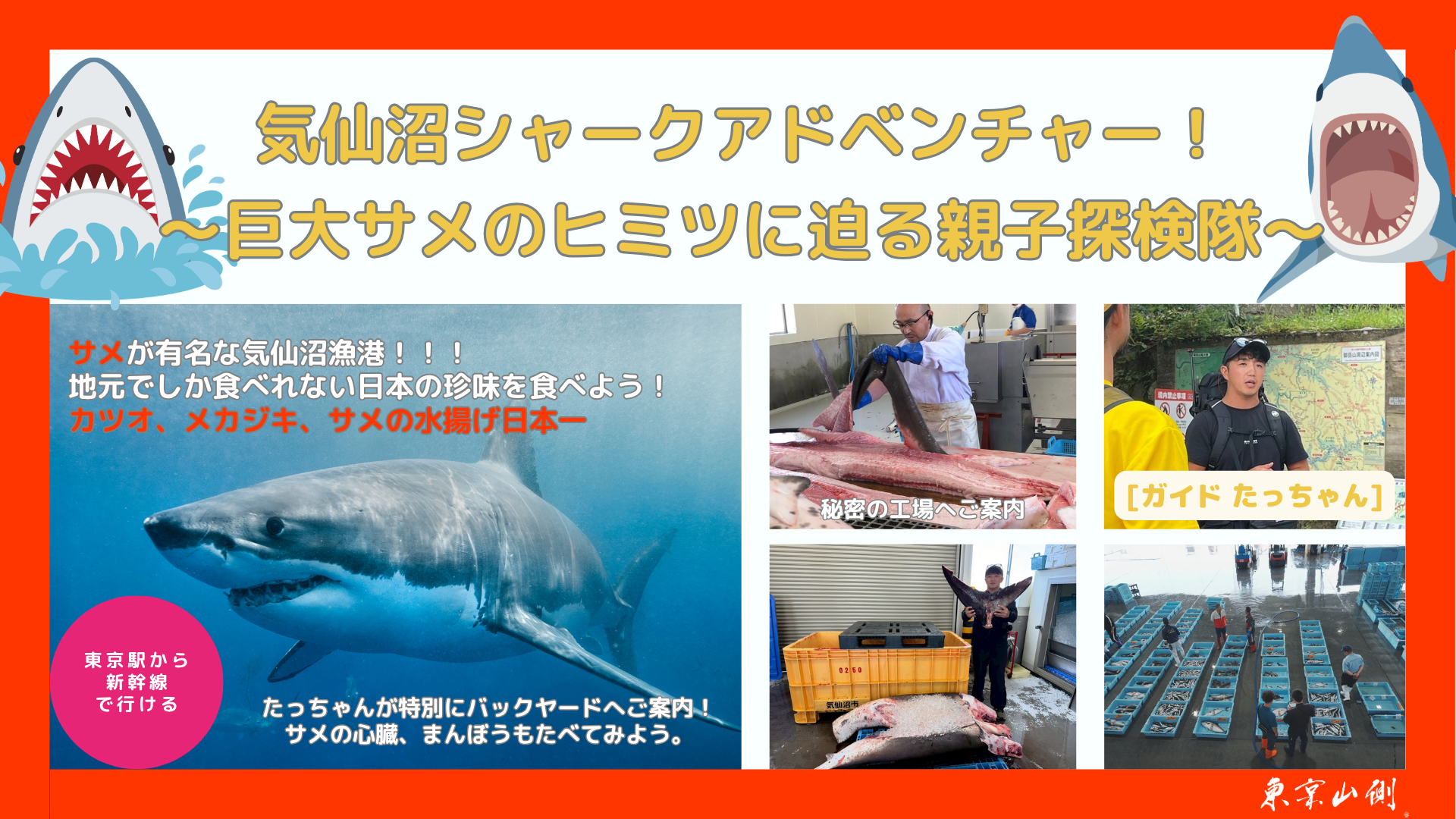 【５組限定特別体験】気仙沼シャークアドベンチャー！
〜巨大サメのヒミツに迫る親子探検隊〜　鮫から皮を剥ぎ皮剥製作りも。