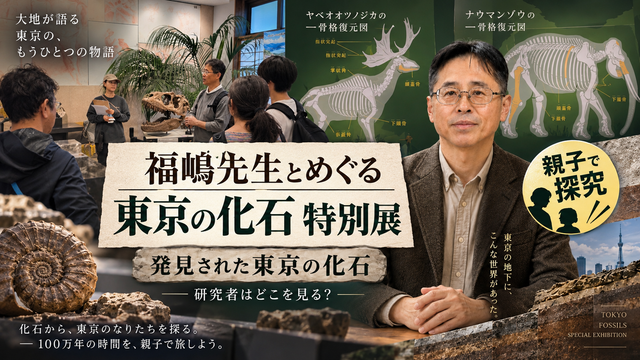 化石研究者は展示のどこを見る？
福嶋先生と巡る「発見された東京の化石」